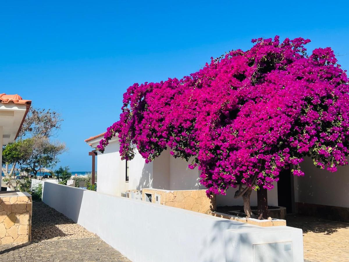 Villa With Privat Pool Near Beach Santa Maria Sal Kap Verde Екстер'єр фото